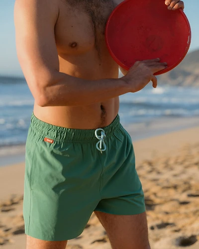 Brief Liner Volley Swimsuit