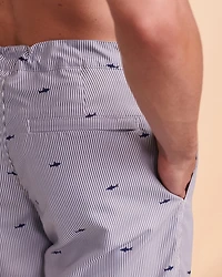 Maillot short SHARK