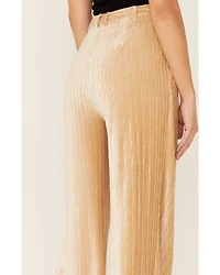 Sadie & Sage Women's Angelic Pleated Velvet Wide Leg Pant