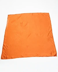 Cody James Men's Silk Jacquard Wild Rag Scarf