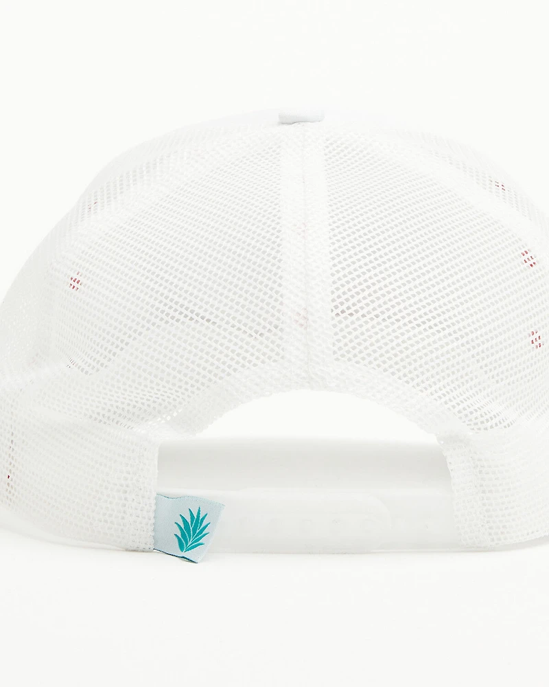 Sendero Provisions Men's Cowboy Hat Ball Cap