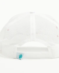 Sendero Provisions Men's Cowboy Hat Ball Cap