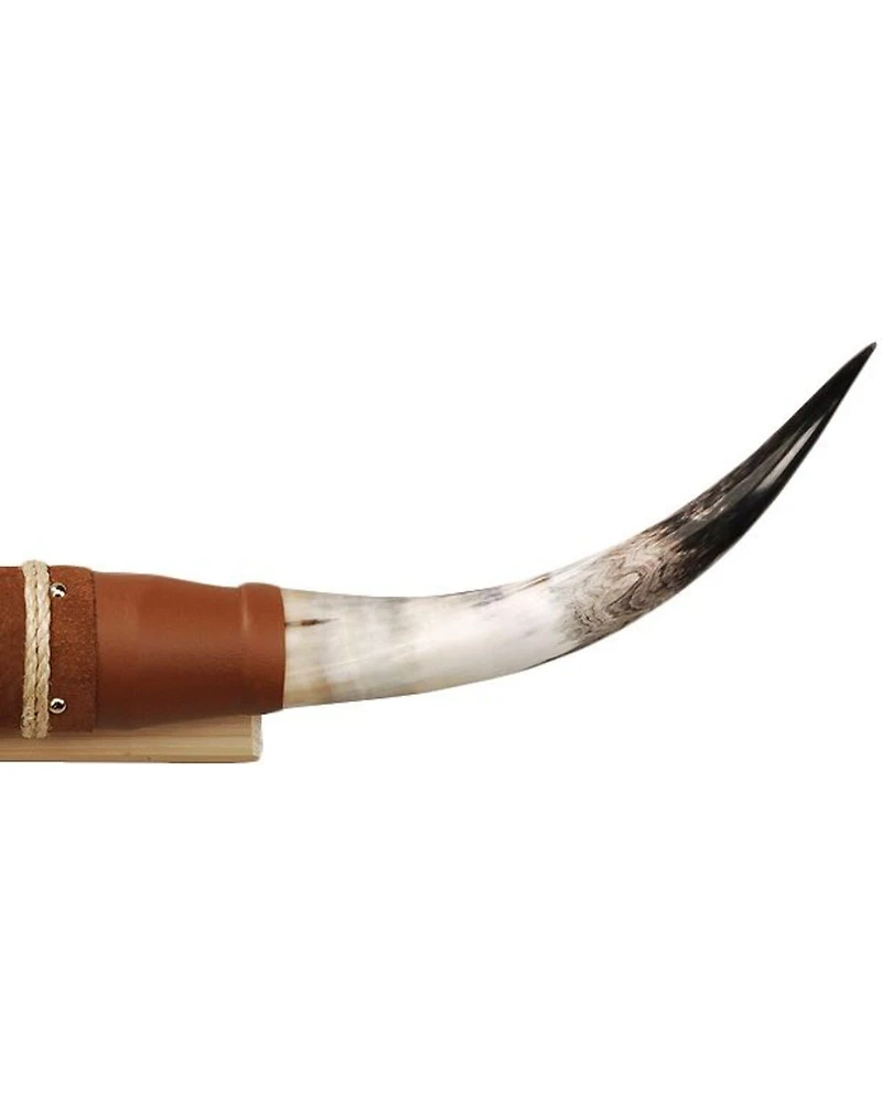 Shawnee trading Post Authentic Medium Steer Horns