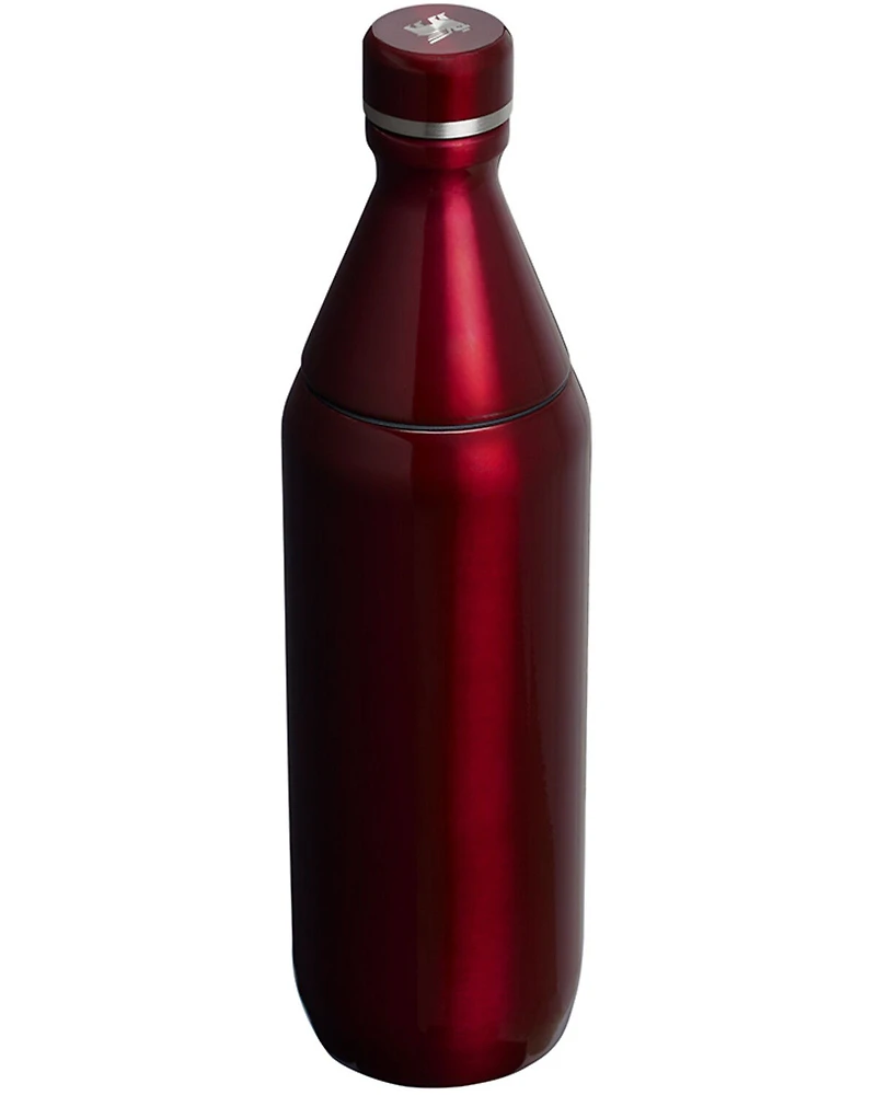 Stanley 20oz All Day Slim Bottle