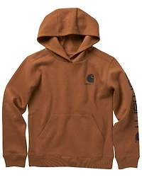 Carhartt Little Boys' Logo Graphic Hooded Sweatshirt