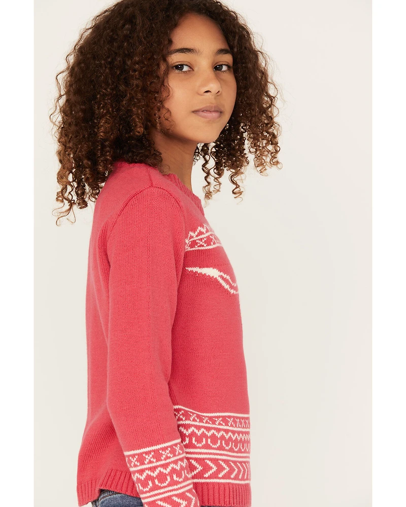 Cotton & Rye Girls' Steerhead Sweater