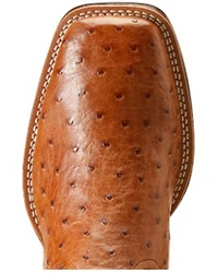 Ariat Men's Brandin' Ultra Exotic Western Boots