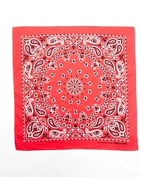 Cody James Men's Red Bandana