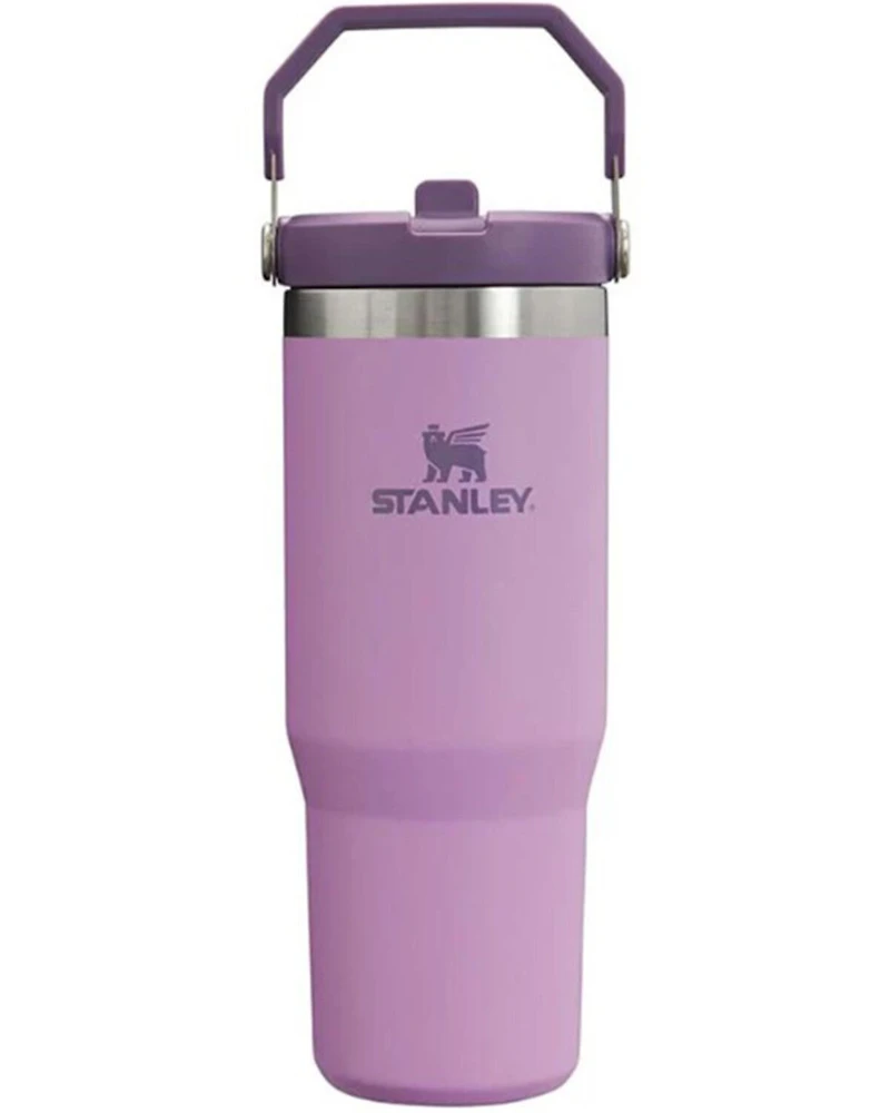 Stanley IceFlow™ Flip Straw 30oz Tumbler