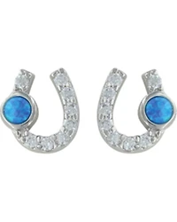 Montana Silversmiths Women's Lightfoot Horseshoe Earrings