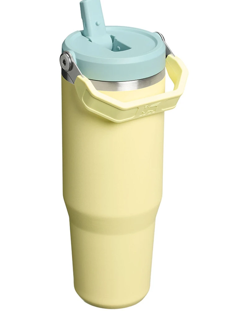 Stanley 30oz IceFlow™ Bottle with Fast Flow Lid