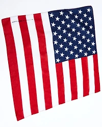 Cody James Men's Americana Flag Bandana Facemasks - 12 Pack