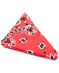 Cody James Men's Red Bandana
