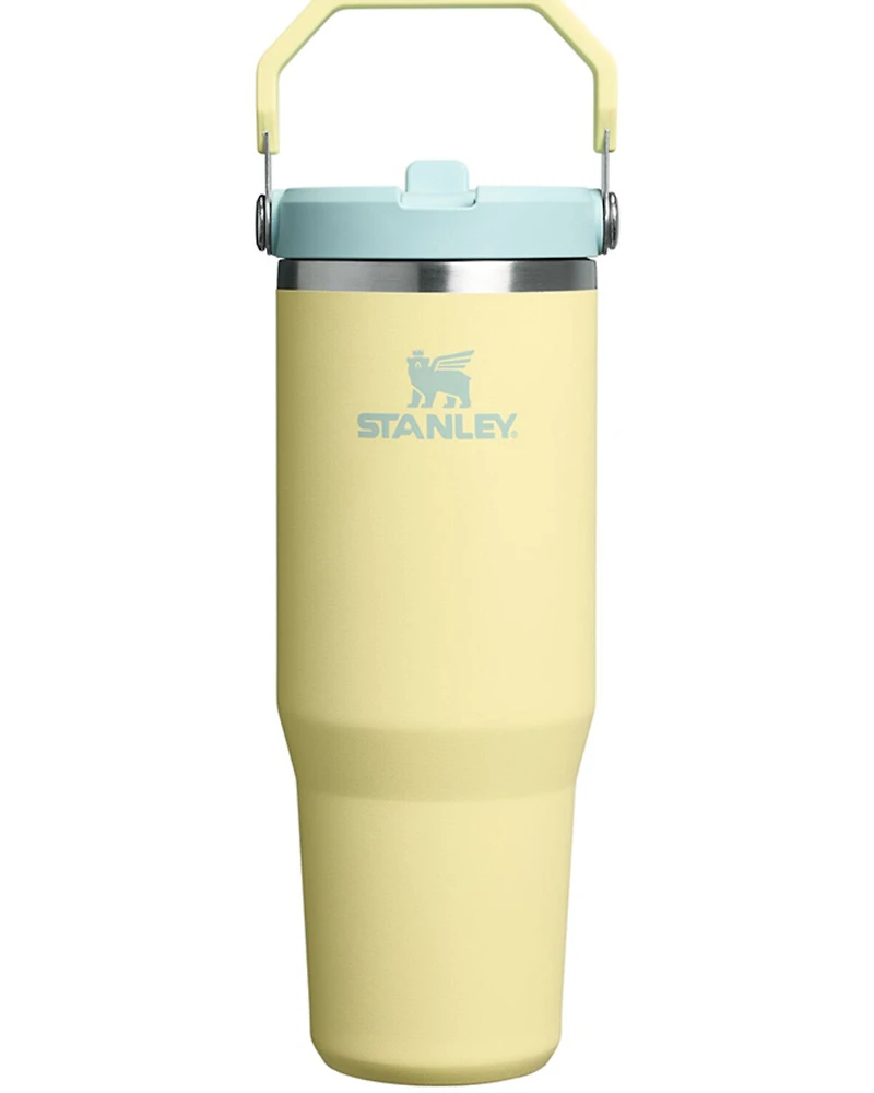 Stanley 30oz IceFlow™ Bottle with Fast Flow Lid