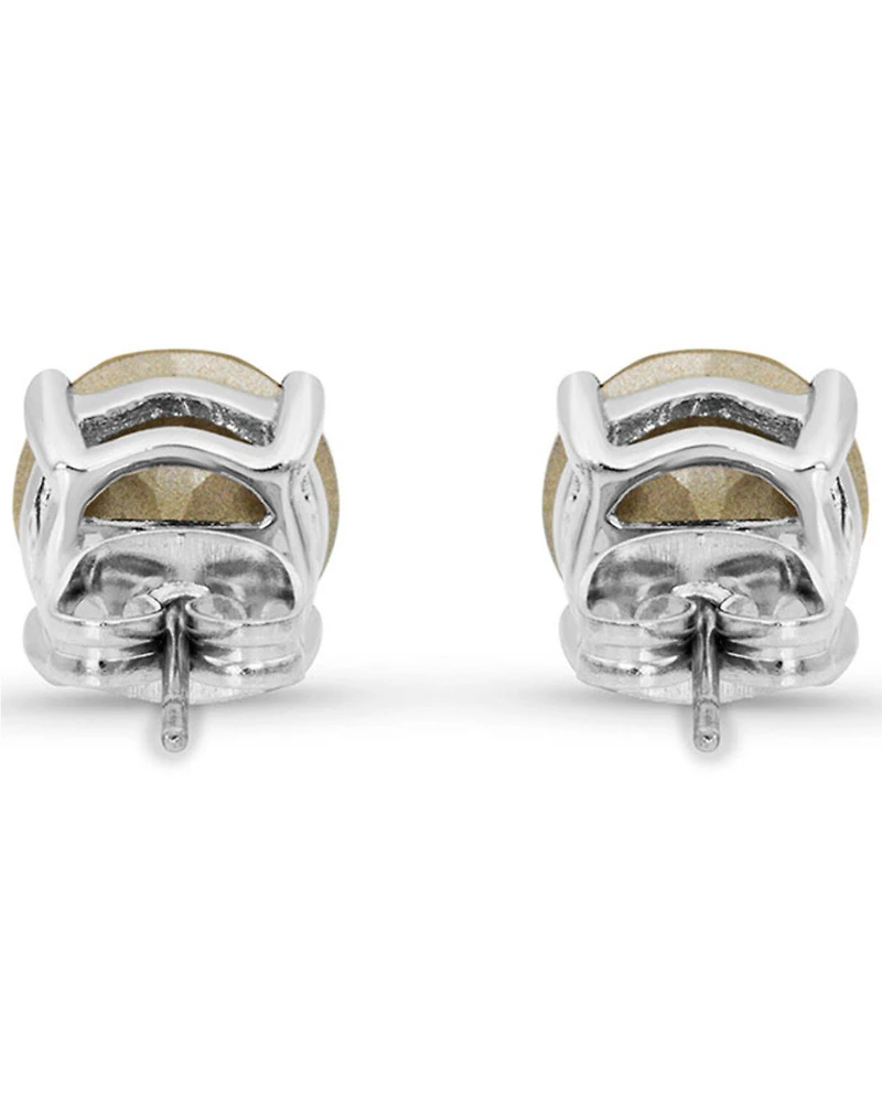 Montana Silversmiths Women's Gleaming Twilight Earrings