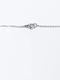 dainty zodiac necklace silver