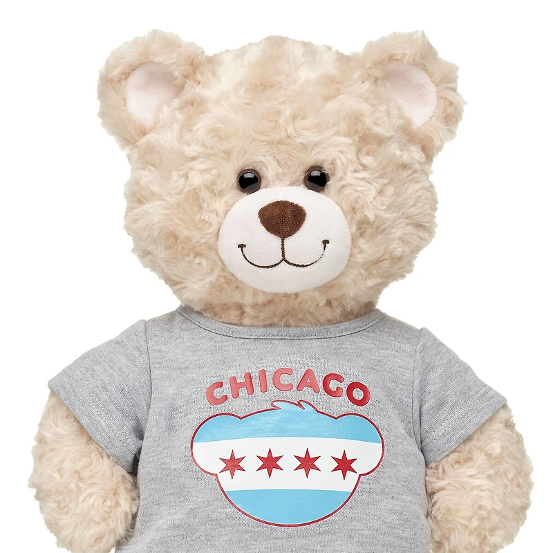 Chicago Flag T-Shirt