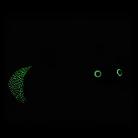 Glow-in-the-Dark Lightning Bug Stuffed Animal