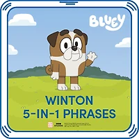 Winton 5-in-1 Phrases