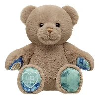 Well Wishes Teddy Bear