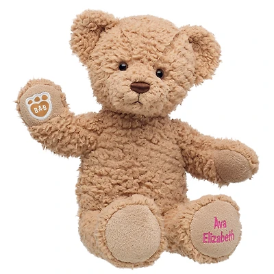 Personalized Embroidered Timeless Teddy Bear