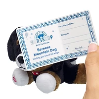 Build-A-Bear Mini Beans® Promise Pets™ Bernese Mountain Dog Stuffed Animal