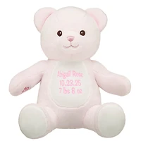 Personalized Embroidered Baby Pink Teddy Bear
