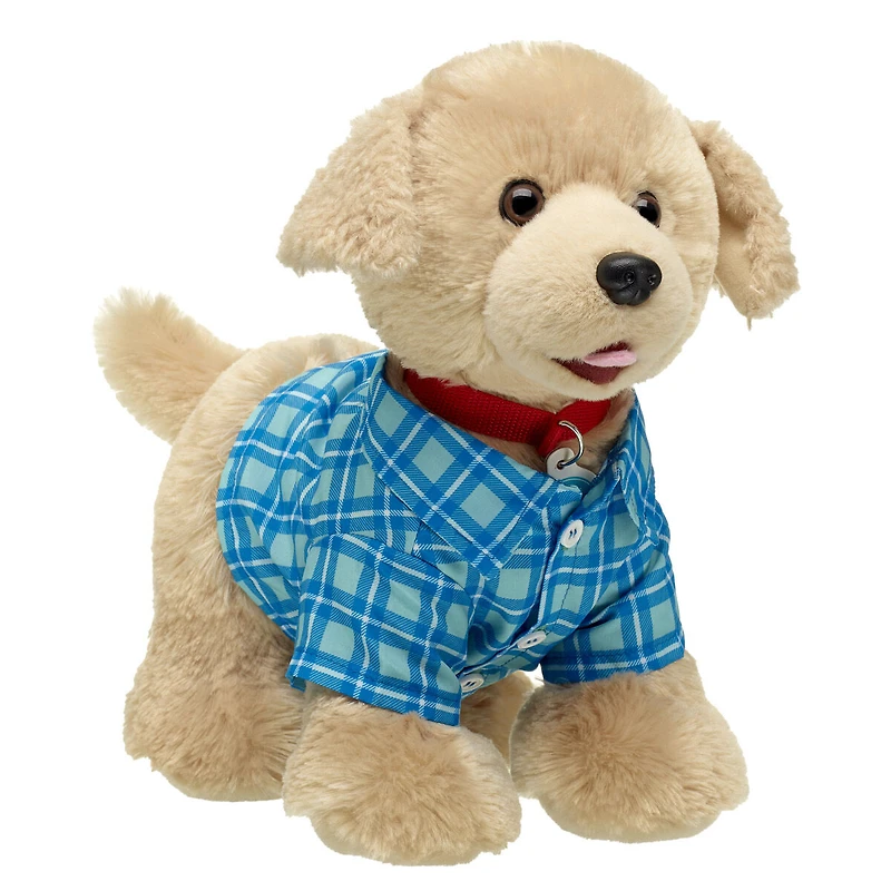 Blue Check Shirt