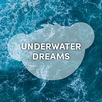 Underwater Dreams Scent
