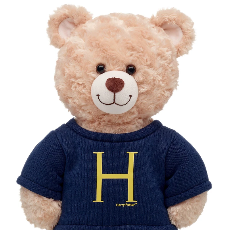 HARRY POTTER™ Harry Sweater