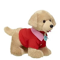 Valentine's Day Shirt