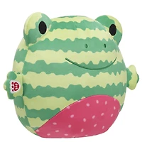 SKOOSHERZ™ Watermelon Frog Stuffed Animal