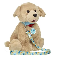 Promise Pets™ Blue Leash