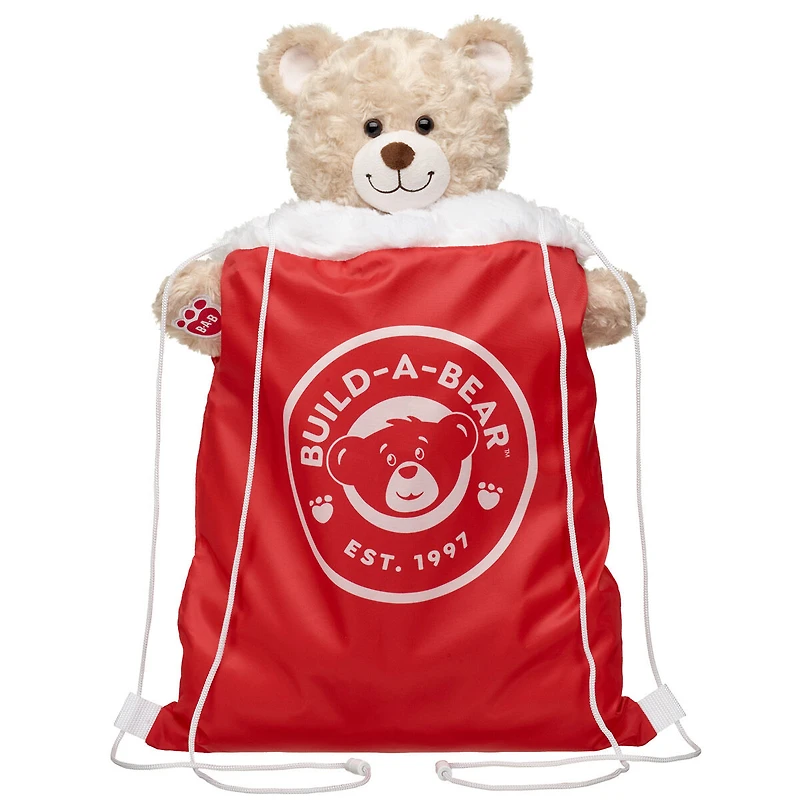 Santa Hat Toy Bear Carrier