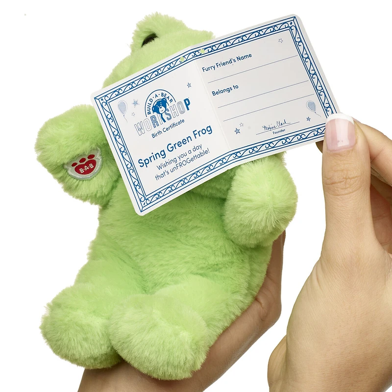 Build-A-Bear Mini Beans® Spring Green Frog Stuffed Animal