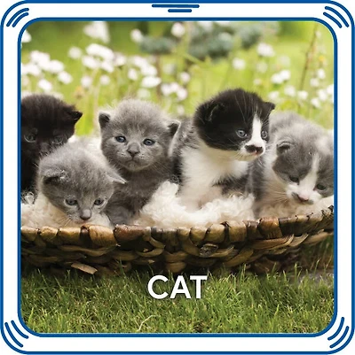 Kitty 5-in-1 Sound