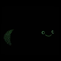 Glow-in-the-Dark Lightning Bug Stuffed Animal