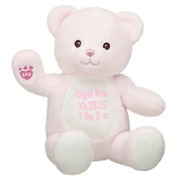 Personalized Embroidered Baby Pink Teddy Bear