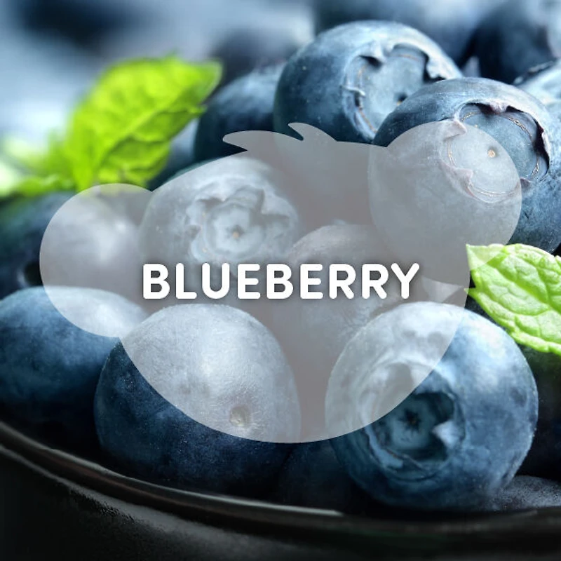 Blueberry Scent