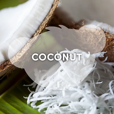 SCENTiments™ Coconut Scent