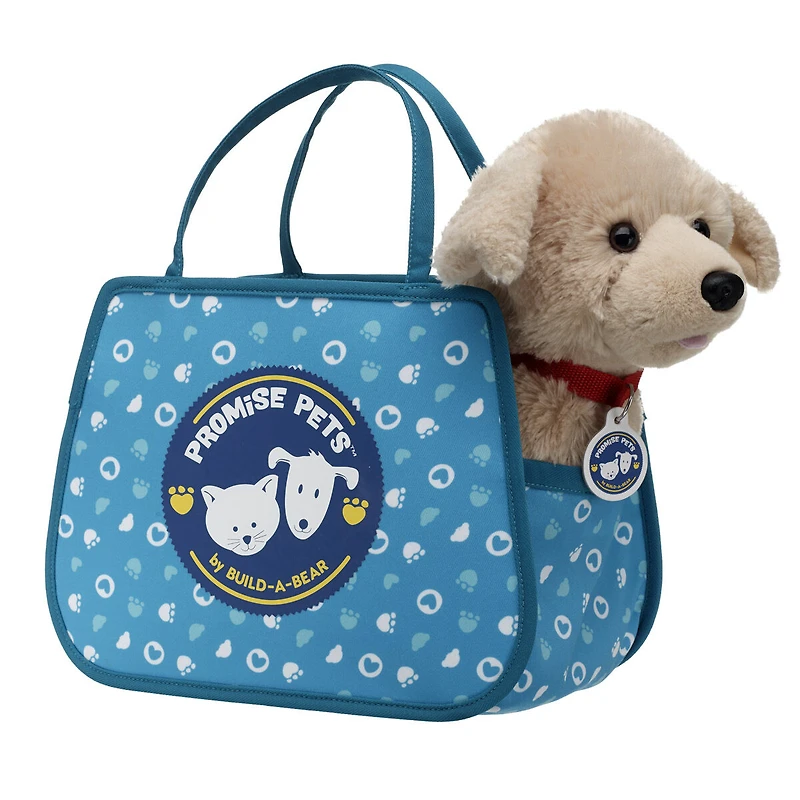 Promise Pets™ Teal Pet Carrier