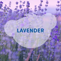 SCENTiments™ Lavender Scent