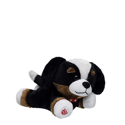 Build-A-Bear Mini Beans® Promise Pets™ Bernese Mountain Dog Stuffed Animal
