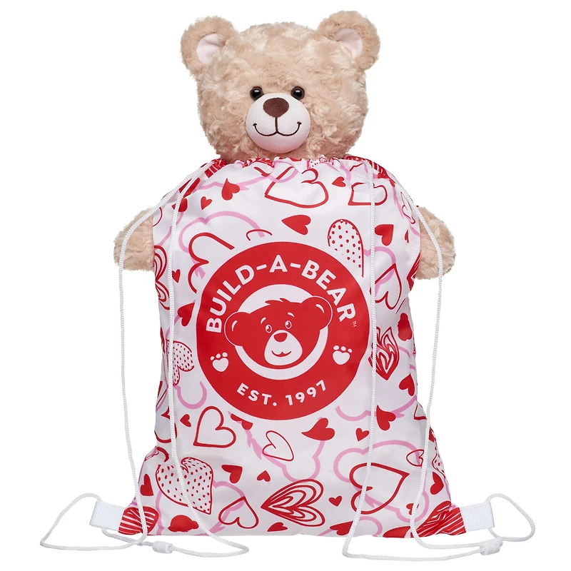 Valentine's Day Toy Bear Carrier