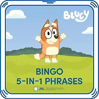 Bingo 5-in-1 Phrases