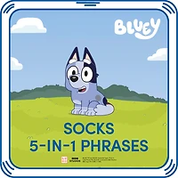 Socks 5-in-1 Phrases