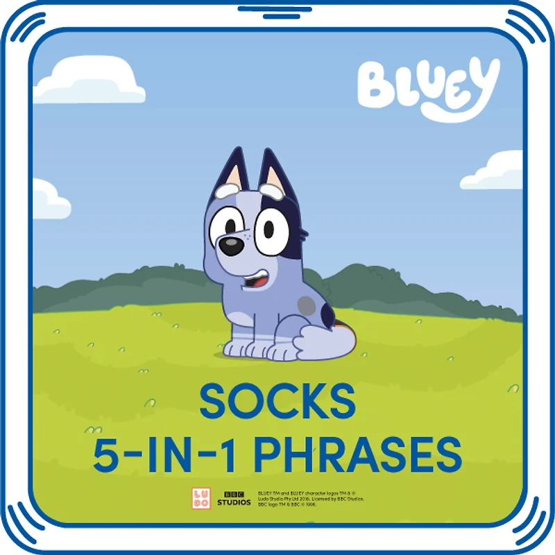 Socks 5-in-1 Phrases