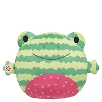 SKOOSHERZ™ Watermelon Frog Stuffed Animal