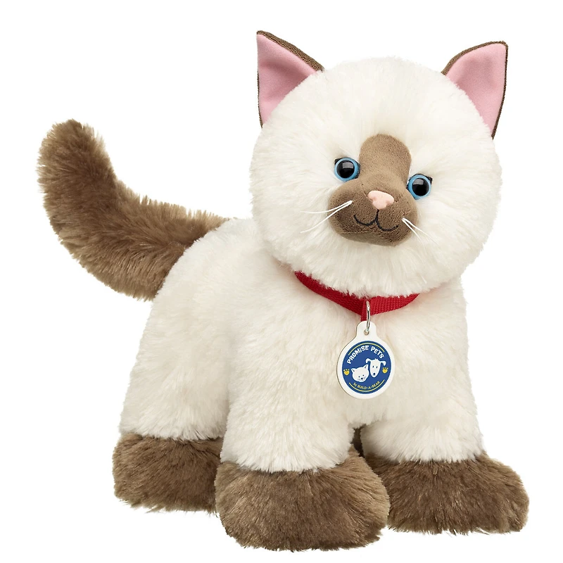 Promise Pets™ Ragdoll Kitten Stuffed Animal