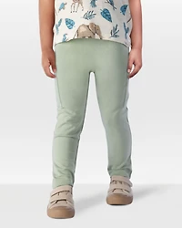 Toddler 2-Pack Organic Cotton French Terry Joggers